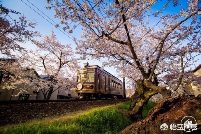 白山市哪能看欧洲杯直播:白山足球