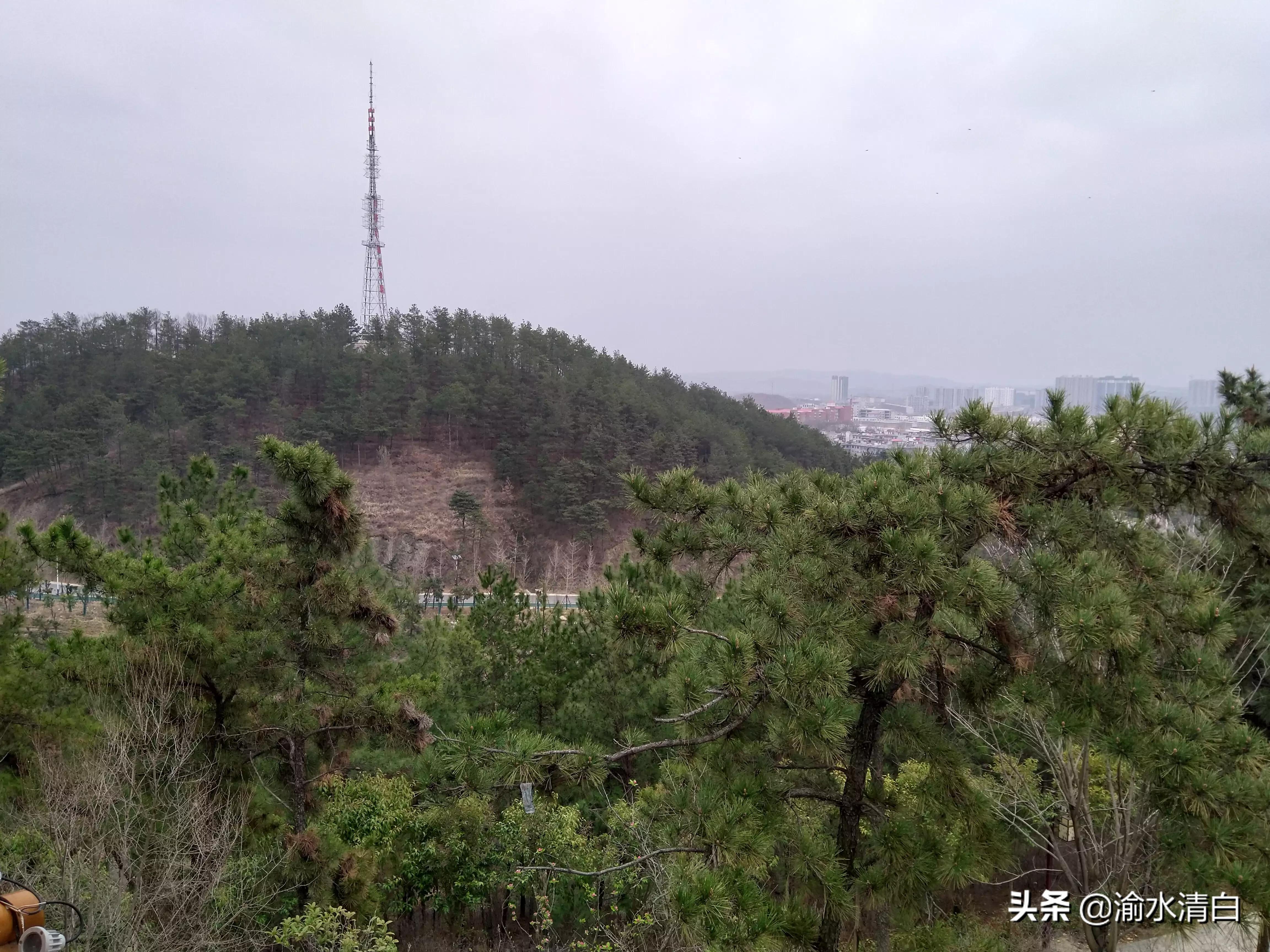 丽江日报欧洲杯官网直播:丽江日报欧洲杯官网直播回放