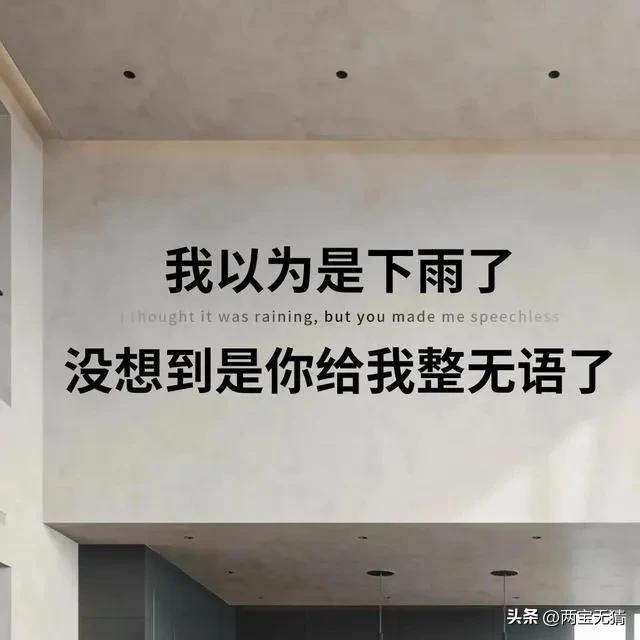 辣条解说欧洲杯直播:辣条的游戏解说