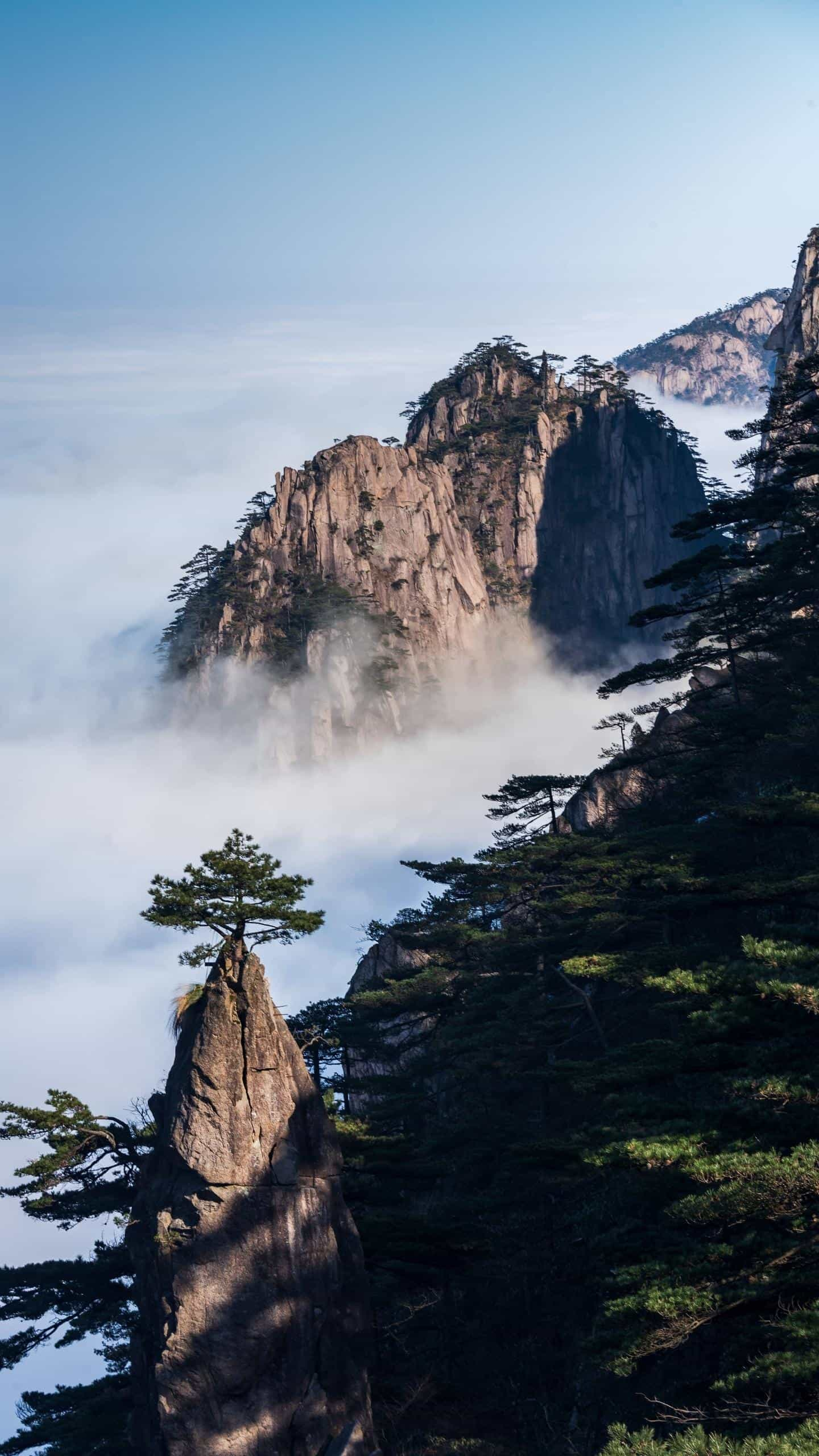 笑看欧洲杯直播:看欧洲杯啊