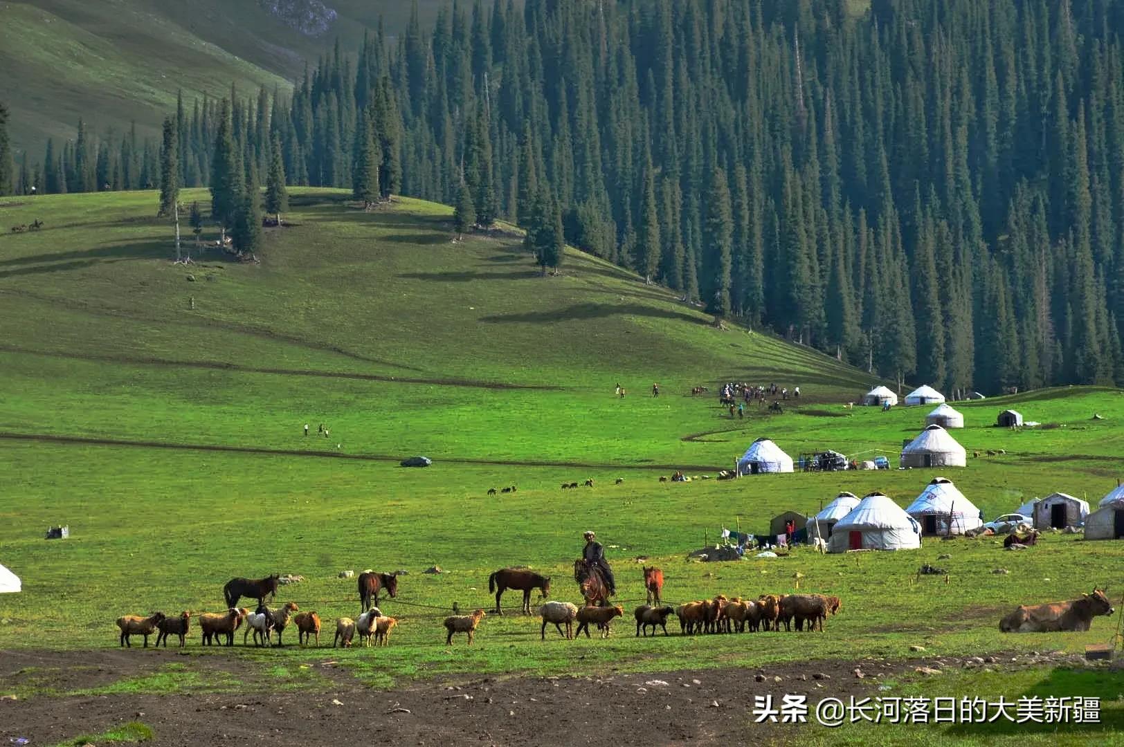 昌乐看欧洲杯在哪里看直播:昌乐看欧洲杯在哪里看直播的