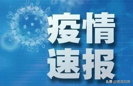 西安哪里看欧洲杯直播:西安哪里看欧洲杯直播比较好