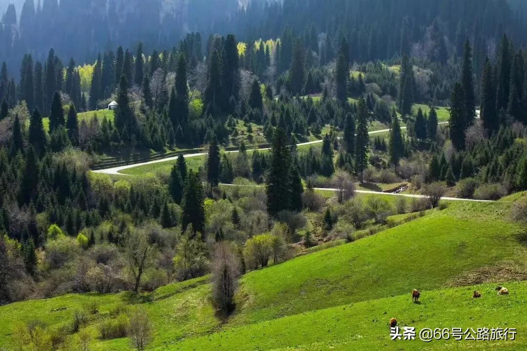 奎屯哪里能看欧洲杯直播:奎屯哪里能看欧洲杯直播的