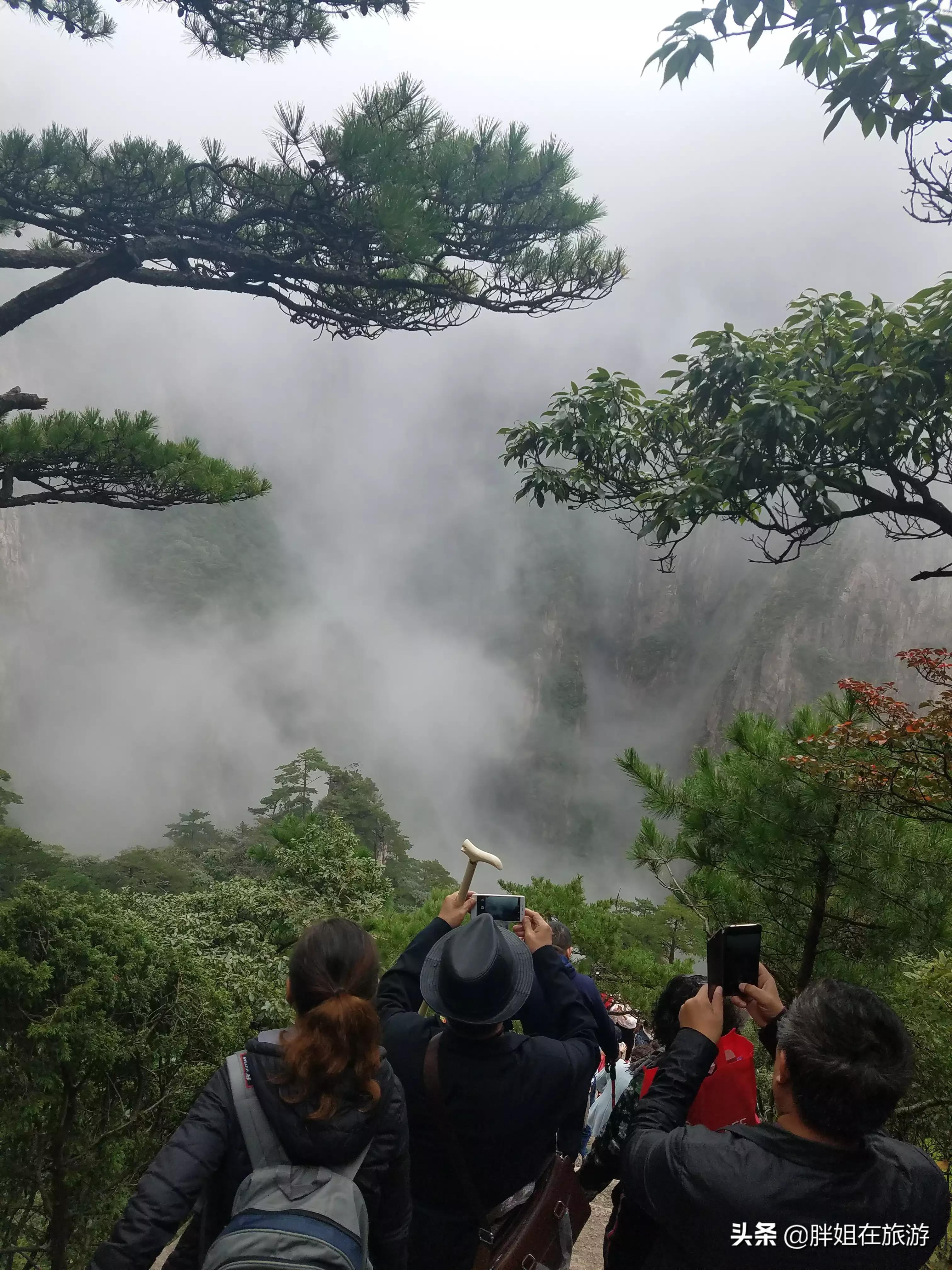 兴城看欧洲杯最新消息直播:兴城看欧洲杯最新消息直播在哪看