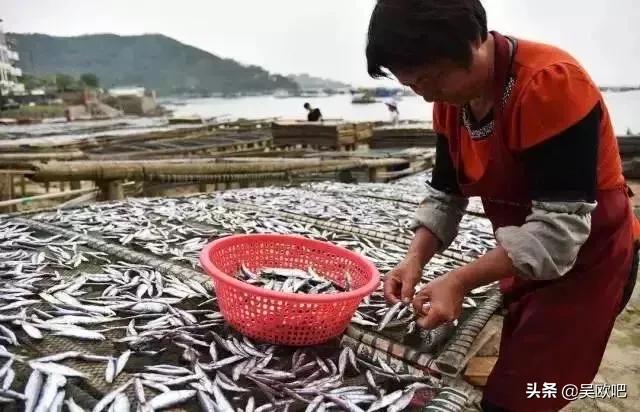 湘潭在哪看欧洲杯直播啊:湘潭在哪看欧洲杯直播啊最近