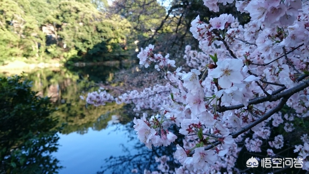 眉山看欧洲杯在哪里看直播:眉山看欧洲杯在哪里看直播的