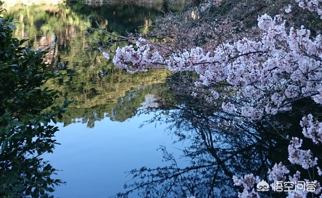 眉山看欧洲杯在哪里看直播:眉山看欧洲杯在哪里看直播的