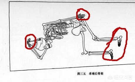 欧洲杯直播间讲解员是谁:欧洲杯直播间讲解员是谁啊