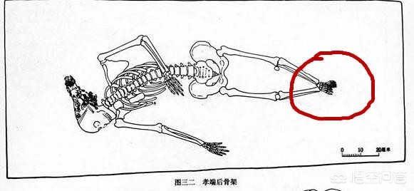 欧洲杯直播间讲解员是谁:欧洲杯直播间讲解员是谁啊