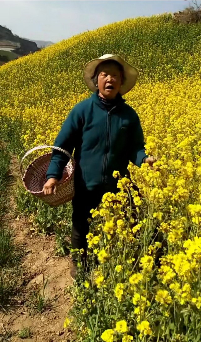 西瓜视频怎么直播欧洲杯:西瓜视频怎么直播欧洲杯的