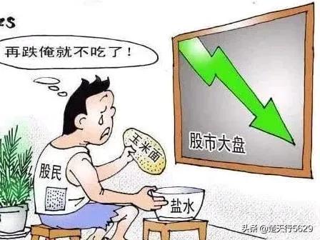 探球网欧洲杯直播:探球网欧洲杯直播在哪看