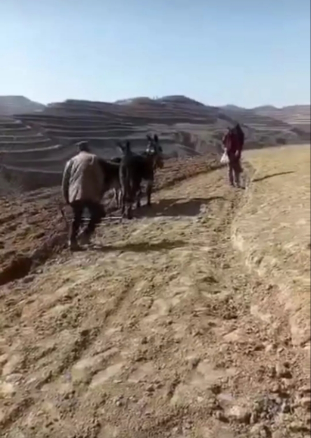 西瓜欧洲杯直播:西瓜欧洲杯直播在哪看