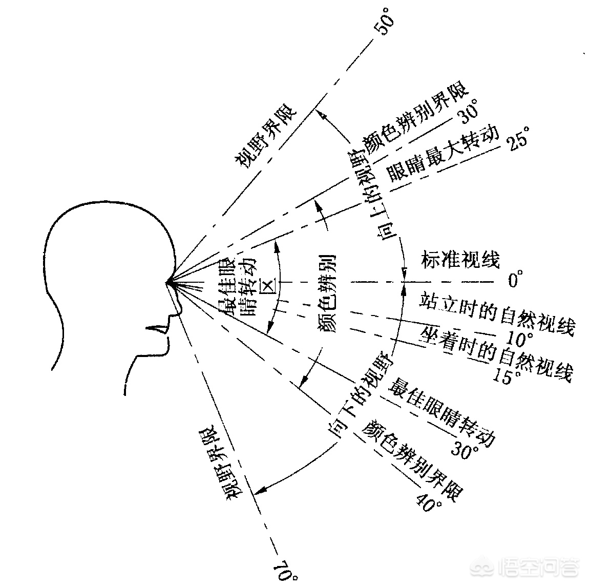 老狗直播欧洲杯:老狗直播欧洲杯比赛视频