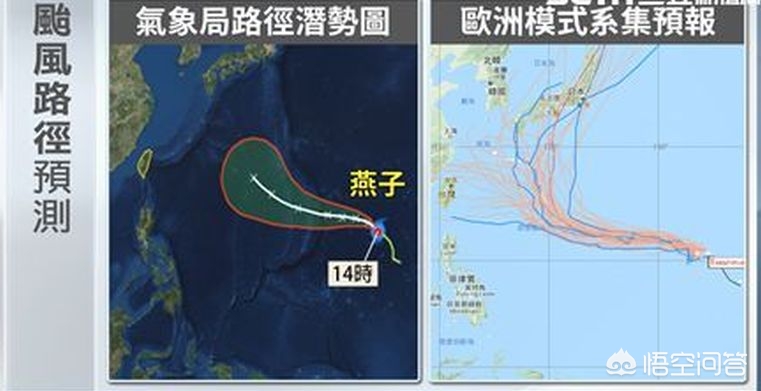 欧洲杯飞燕直播:欧洲杯飞燕直播在哪看