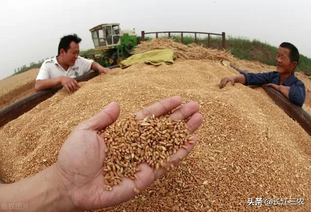 通辽在哪看欧洲杯直播:通辽在哪看欧洲杯直播啊