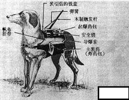 昆明户外看欧洲杯直播:昆明户外看欧洲杯直播的地方