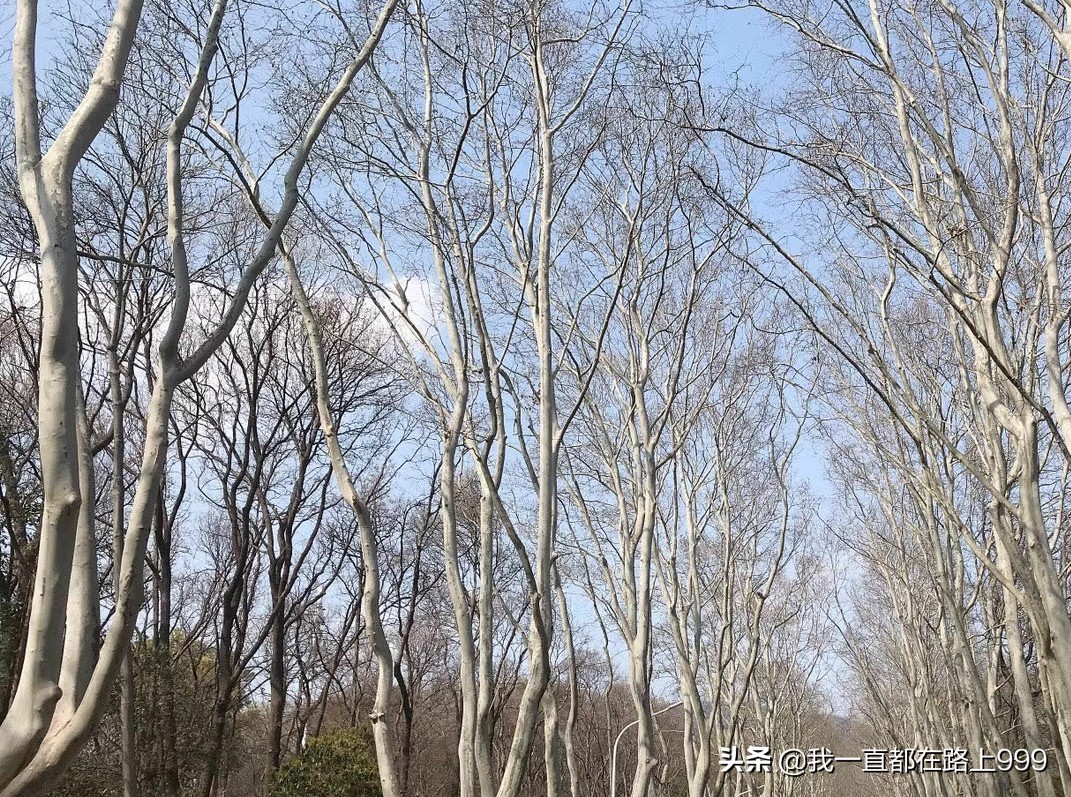 南京欧洲杯直播:南京欧洲杯直播时间