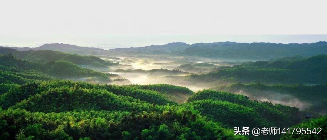 夹江哪里可以看欧洲杯直播:夹江哪里可以看欧洲杯直播的