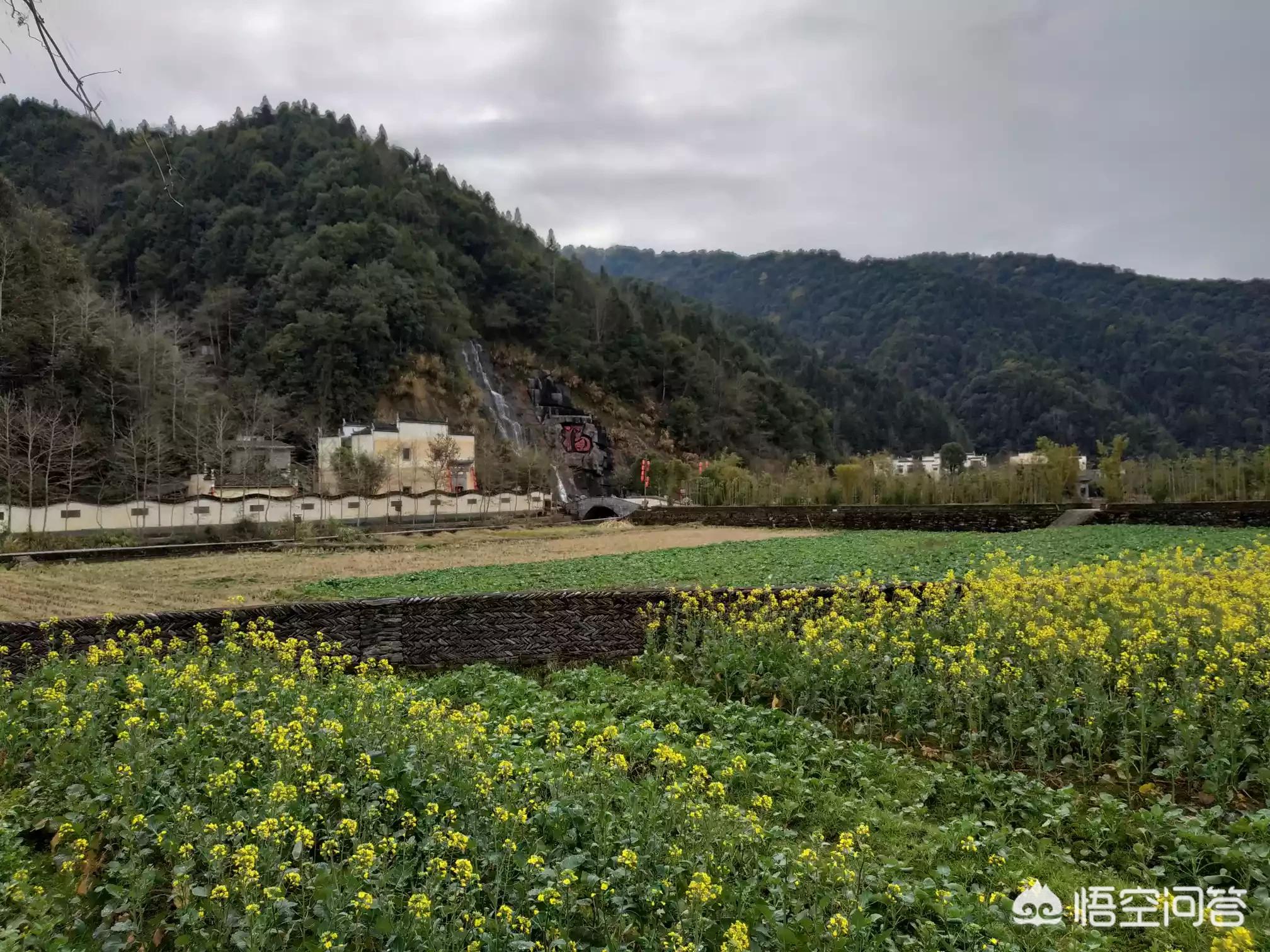 全景体育欧洲杯直播平台:全景体育欧洲杯直播平台有哪些