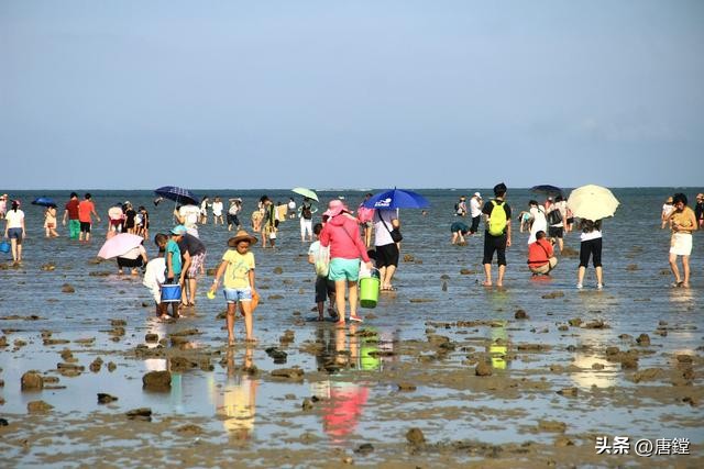 翔安区去哪看欧洲杯直播:翔安区足球区赛