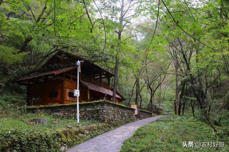 景洪哪里可以看欧洲杯直播:景洪哪里可以看欧洲杯直播的