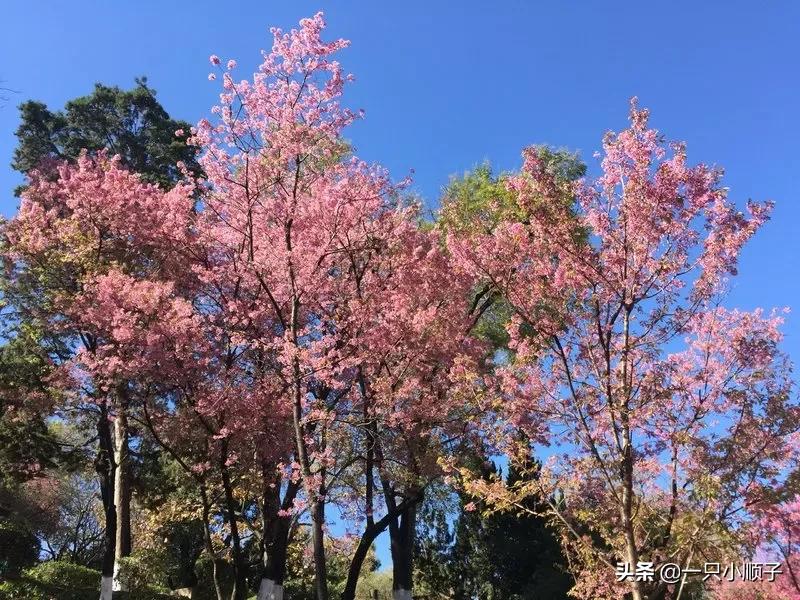 晋城哪里能看欧洲杯直播:晋城哪里能看欧洲杯直播的