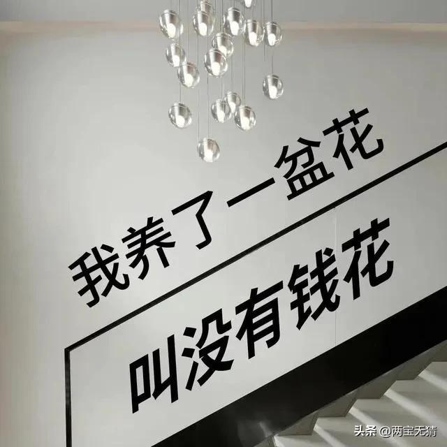 鸡腿哥爱欧洲杯直播:鸡腿哥什么意思