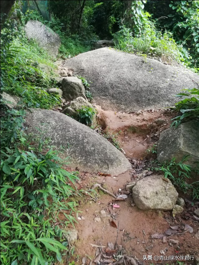 蒙自欧洲杯直播:蒙自足球