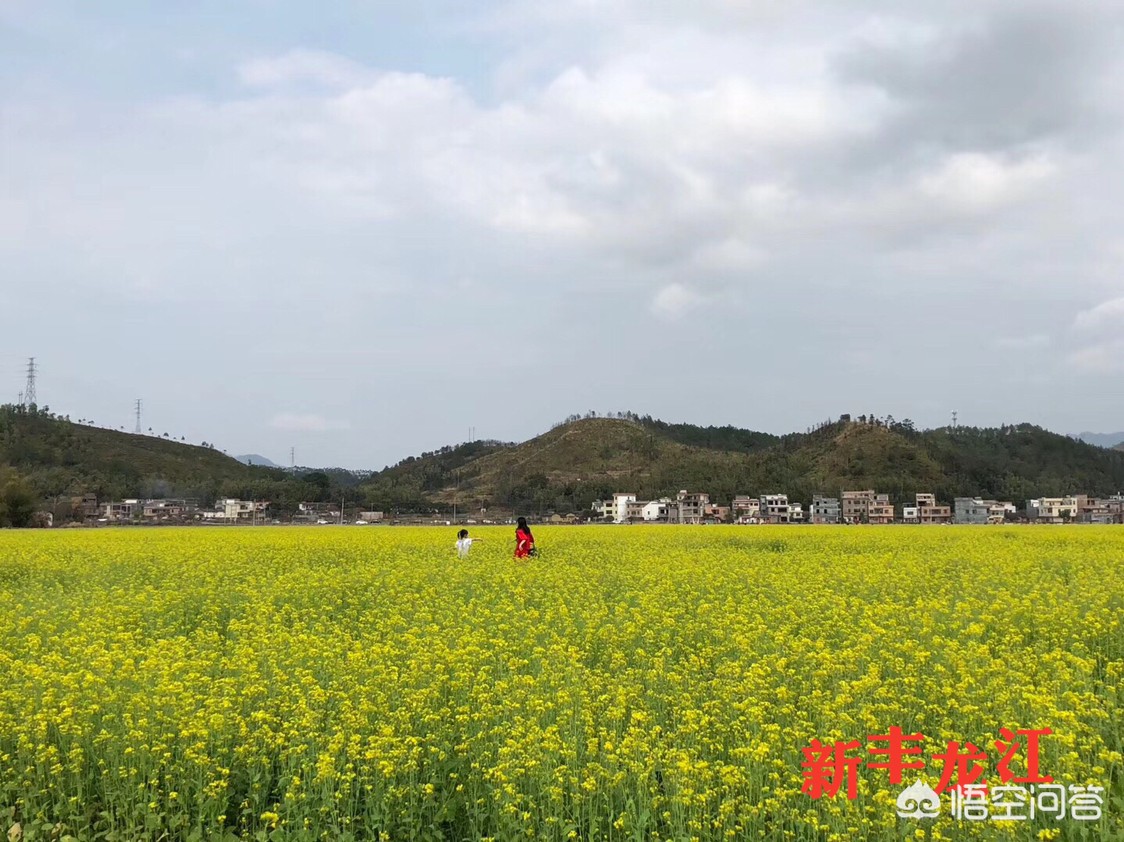 新浪如何看欧洲杯比赛直播:新浪如何看欧洲杯比赛直播视频