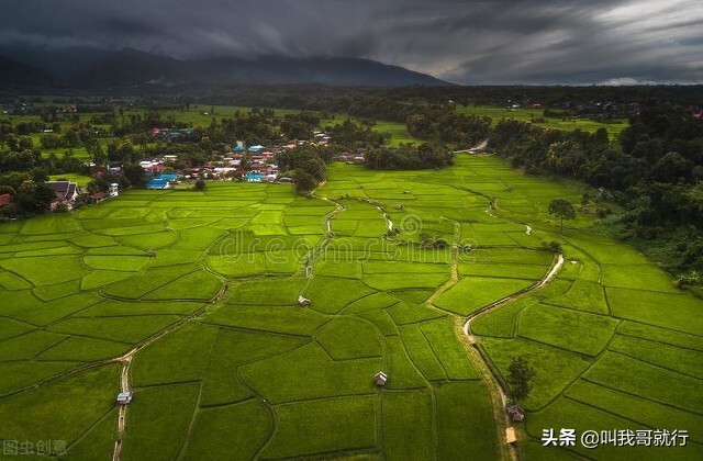 欧洲杯直播苦力王直播:欧洲杯直播苦力王直播在哪看