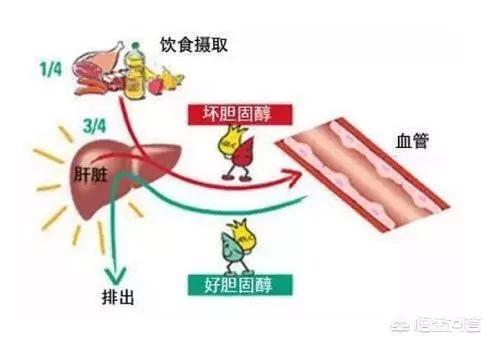 锦州市欧洲杯直播平台官网:锦州市欧洲杯直播平台官网查询