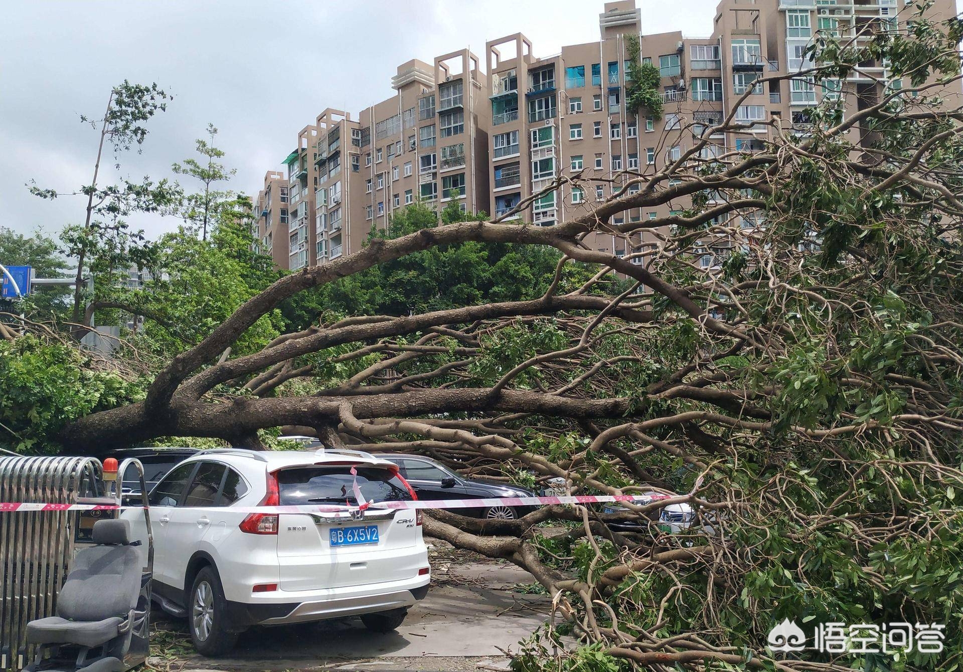 海口欧洲杯直播:海口欧洲杯直播视频