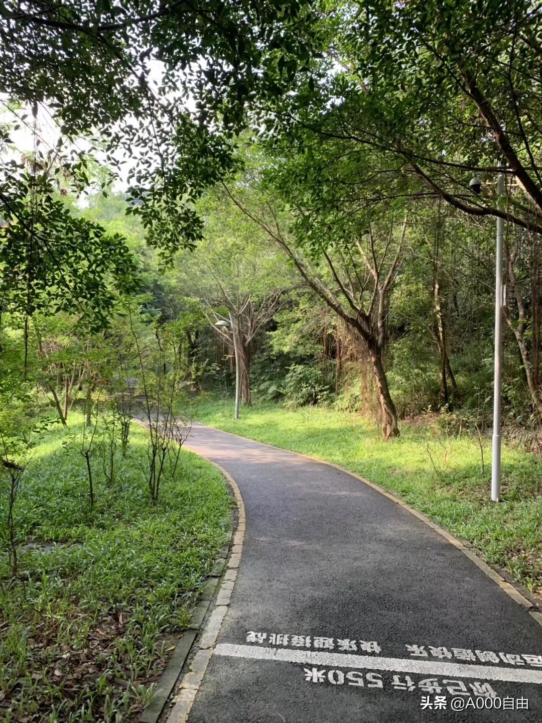 深圳欧洲杯直播:深圳欧洲杯直播平台