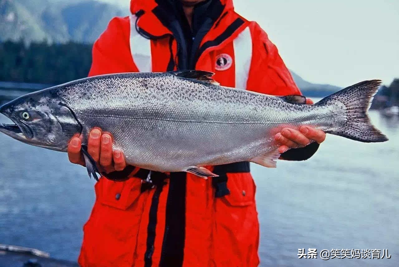 西宁欧洲杯直播:青海西宁欧璐足球俱乐部