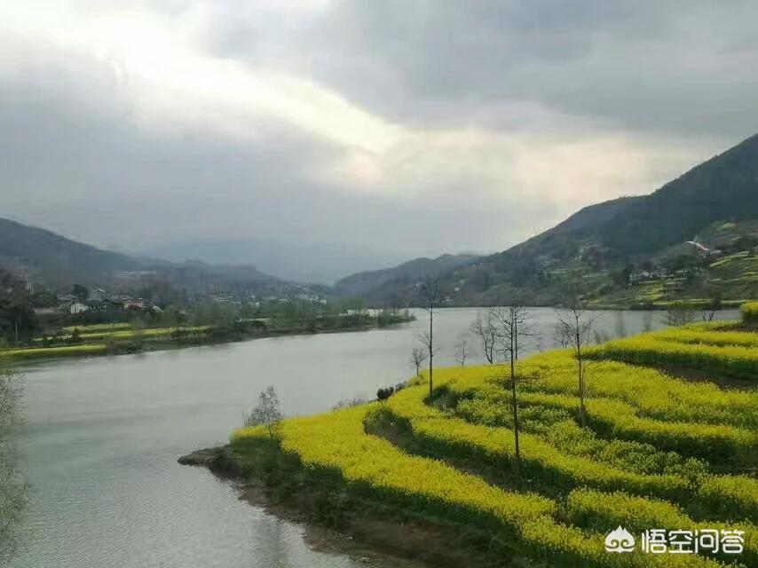 昆明欧洲杯直播平台有哪些:昆明欧洲杯直播平台有哪些公司