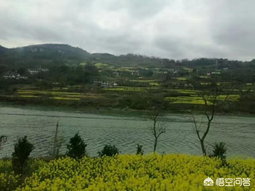 昆明欧洲杯直播平台有哪些:昆明欧洲杯直播平台有哪些公司