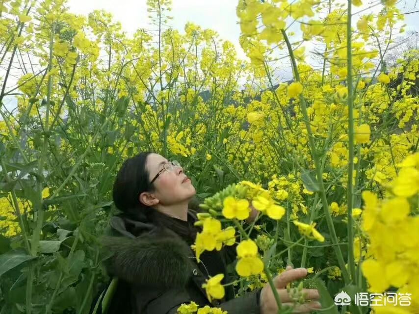 昆明欧洲杯直播平台有哪些:昆明欧洲杯直播平台有哪些公司