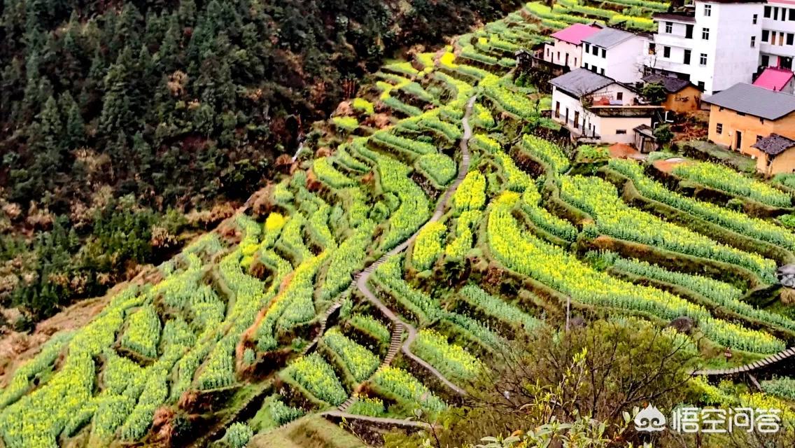 昆明欧洲杯直播平台有哪些:昆明欧洲杯直播平台有哪些公司