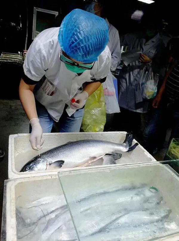 重庆欧洲杯大屏幕直播在哪里看:重庆欧洲杯大屏幕直播在哪里看啊