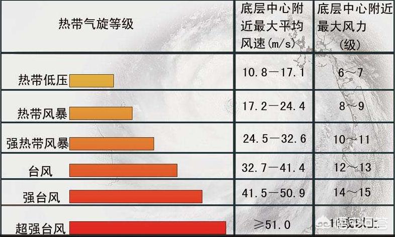 海南欧洲杯在哪看直播:海南欧洲杯在哪看直播啊